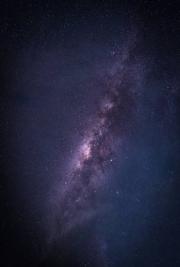 Landscape with Milky way galaxy. Night sky with stars and silhouette trees. Long exposure photograph.