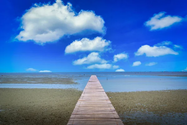 Ponte Madeira Floresta Mangue Com Fundo Azul Céu — Fotografia de Stock