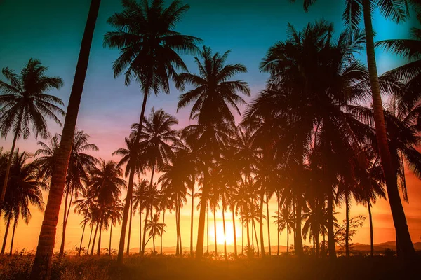 Силуетні Кокосові Пальми Пляжі Заході Сонця Вінтажний Тон — стокове фото