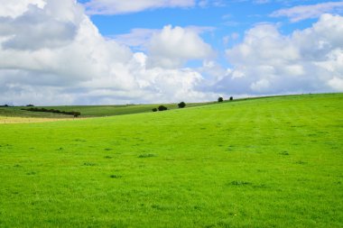 Yeşil alan ve bulut arka plan ile mavi gökyüzü