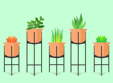 Vektör Grafik Çizimi, düz çizim, renkli ev bitkisi, ev bitkisi fikirleri, ev içi bahçe için modern tasarım, ev aksesuarları için sevimli masa bitkileri