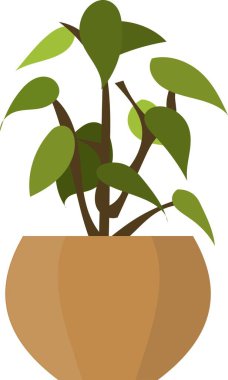 Vektör Grafik İllüstrasyonu, filodendron bitkisi, ev bitkisi iç tasarımı, saksılı