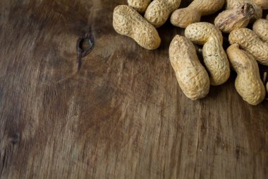 Fıstık bir kabuğu içinde