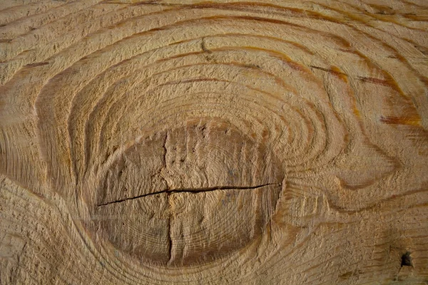 Fondo de textura de madera original — Foto de Stock