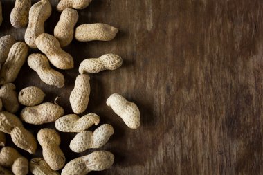 Fıstık bir kabuğu içinde