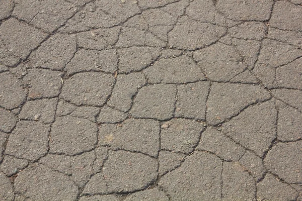Very cracked asphalt — Stock Photo, Image