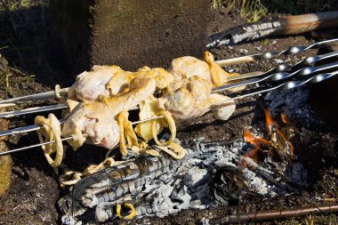 Tavuk budu şiş üzerinde