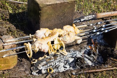 Tavuk budu şiş üzerinde