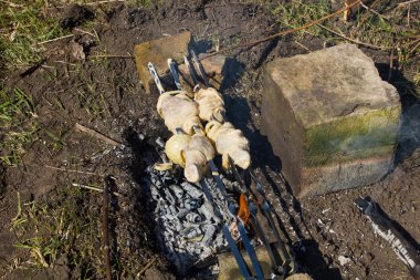 Tavuk budu şiş üzerinde