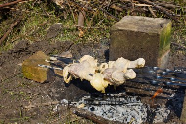 Tavuk budu şiş üzerinde