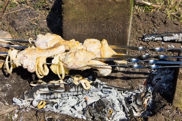 Tavuk budu şiş üzerinde