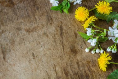 Tahta arka planda bahar çiçekleri