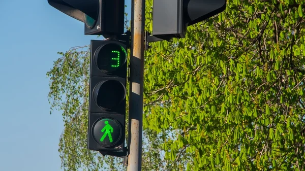 Semaforo con la luce verde accesa — Foto Stock