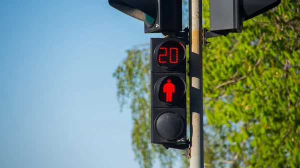 Kırmızı Trafik Işığı