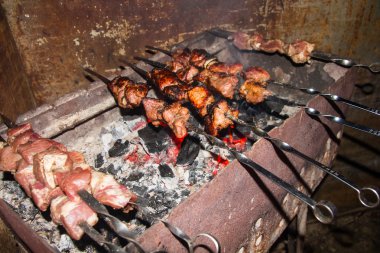 Piknik üzerinde lezzetli Kebab