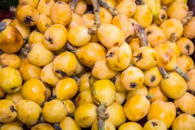 Olgun turuncu yenidünya