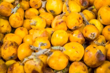 Olgun turuncu yenidünya