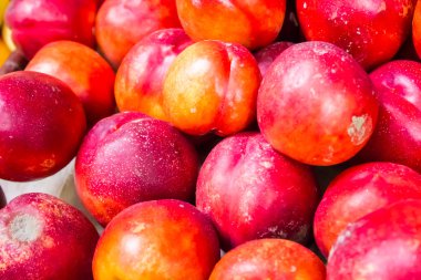 Sulu olgun sarı şeftali