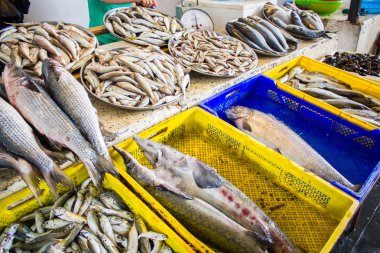 bir tablo üzerinde döşeme farklı boyutlarda taze balık
