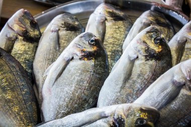 bir tablo üzerinde döşeme farklı boyutlarda taze balık