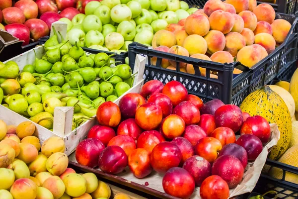 birçok meyve ve sebzeler. renkli kompozisyon.