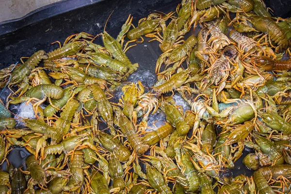 canlı kerevides yığını