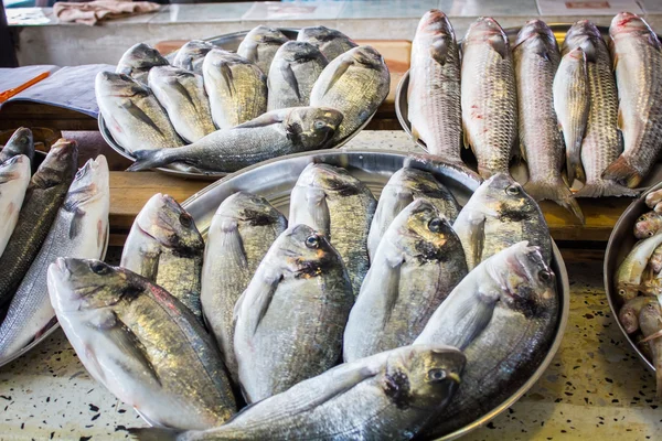 Verse vis in verschillende maten opleggen aan een tabel — Stockfoto