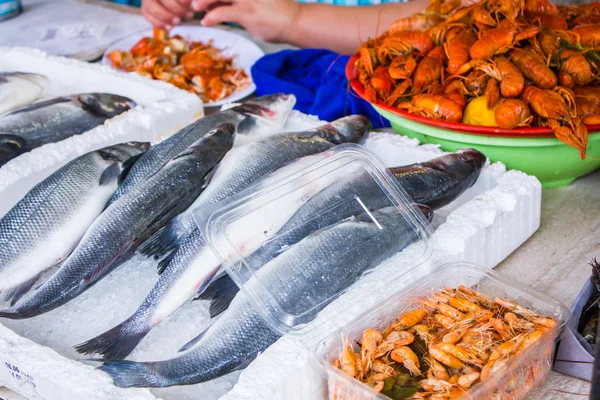 Peixe fresco em tamanhos diferentes que põe em uma mesa — Fotografia de Stock