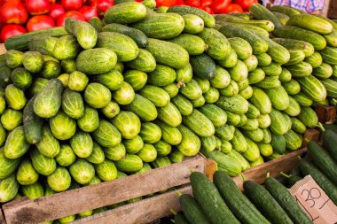 Büyük sulu olgun salatalık