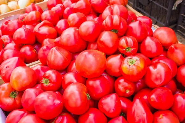 Gran cantidad de tomate rojo fresco juntos —  Fotos de Stock