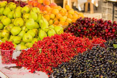 siyah ve kırmızı kuş üzümü