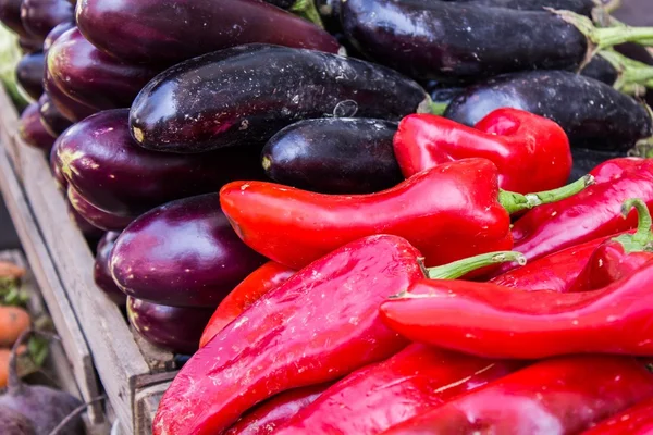 Eggplant and other vegetables — Stock Photo, Image