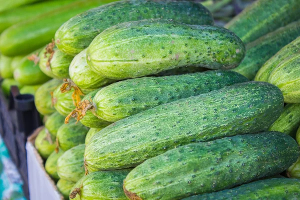 Big juicy ripe cucumbers — Stock Photo, Image