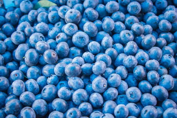 sulu taze yaban mersini