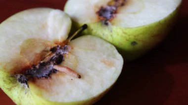 Solucan gezinmeler kusurlu Apple dışında