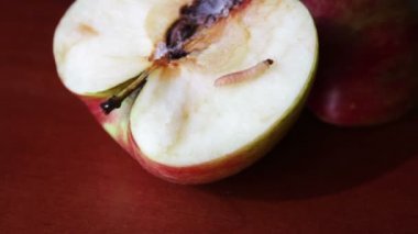 Solucan gezinmeler kusurlu Apple dışında