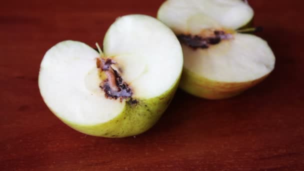 Wurm kriecht aus dem verdorbenen Apfel — Stockvideo
