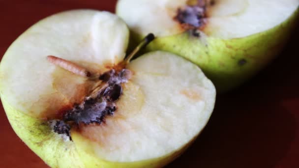 Gusano se arrastra fuera de la Manzana Manchada — Vídeos de Stock