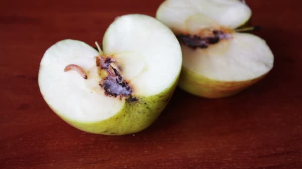 Un ver sort de la pomme abîmée — Video