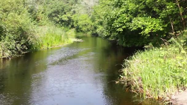 Belle rivière nature 
