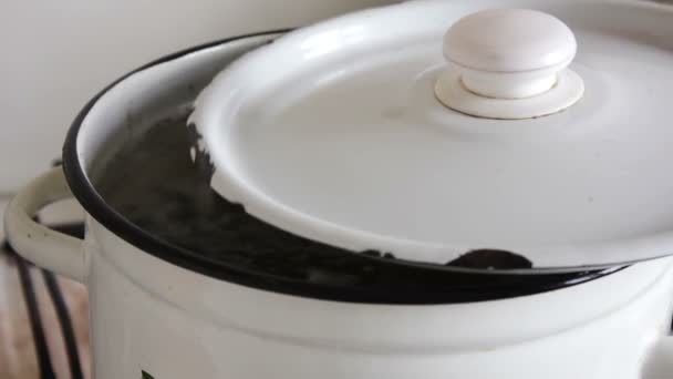 Pan with broth covered with a lid — Stock Video
