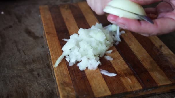 Weibliche Hände schneiden Zwiebeln — Stockvideo