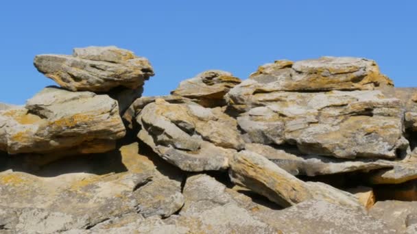 Enormes rocas del monumento mundialmente famoso y lugar sagrado de los pueblos antiguos Kamyana Mohyla o tumba de piedra en la reserva histórica en Ucrania. Decorado con petroglifos. Tumba de piedra — Vídeo de stock