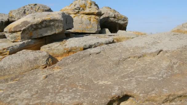 Stora stenblock av den världsberömda monument och heliga plats för gamla människor Kamyana Mohyla eller sten Grave i historiska reservatet i Ukraina. Dekorerade den med hällristningar. Stengrav — Stockvideo