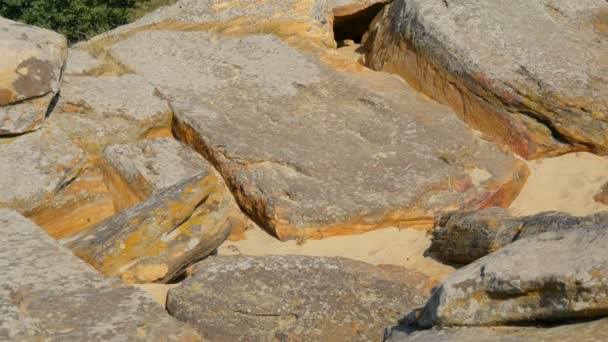 Stora stenblock av den världsberömda monument och heliga plats för gamla människor Kamyana Mohyla eller sten Grave i historiska reservatet i Ukraina. Dekorerade den med hällristningar. Stengrav — Stockvideo
