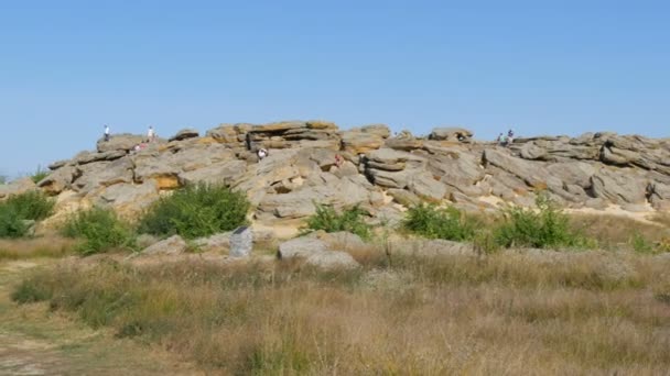 Pedras enormes do monumento mundialmente famoso e lugar sagrado de pessoas antigas Kamyana Mohyla ou Stone Grave na Reserva Histórica na Ucrânia. Decorado com petroglifos. Túmulo de pedra — Vídeo de Stock