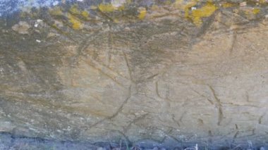 Dünyaca ünlü anıt ve antik insanların kutsal yeri Kamyana Mohyla ya da Ukrayna 'daki Tarihi Rezerv' deki Taş Mezar. Petrogliflerle süsledim. Taş Mezar ve antik kaya resimleri