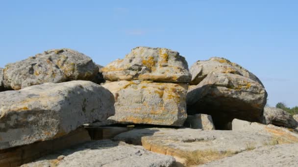 Riesige Felsbrocken des weltberühmten Denkmals und heiligen Ortes der alten Menschen Kamyana Mohyla oder Steingrab im Historischen Reservat in der Ukraine. Dekoriert mit Felszeichnungen. Steinernes Grab — Stockvideo