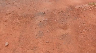 Krivoy Rog, Ukrayna 'daki bir madende kırmızı demir cevheri.