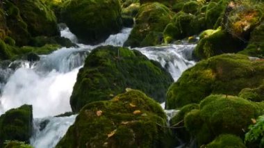 Karadağ 'daki Bistrica Dağı nehri yeşil yosunlarla kaplı taş kayaların üzerinden akıyor